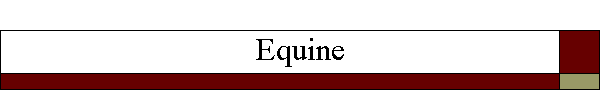 Equine