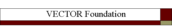 VECTOR Foundation