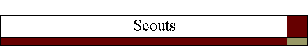 Scouts